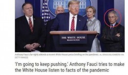 特朗普爆料大戏视频,大戏视频背后的惊人真相